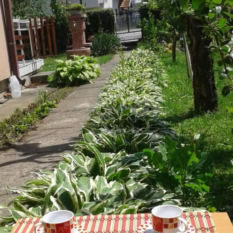 Apartman Anđelina Vrnjačka Banja - Apartman - 16