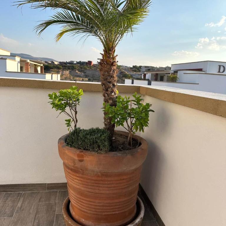 San Miguel Allende Apto 24 - Apartamento de 2 dormitorios con balcón - 31
