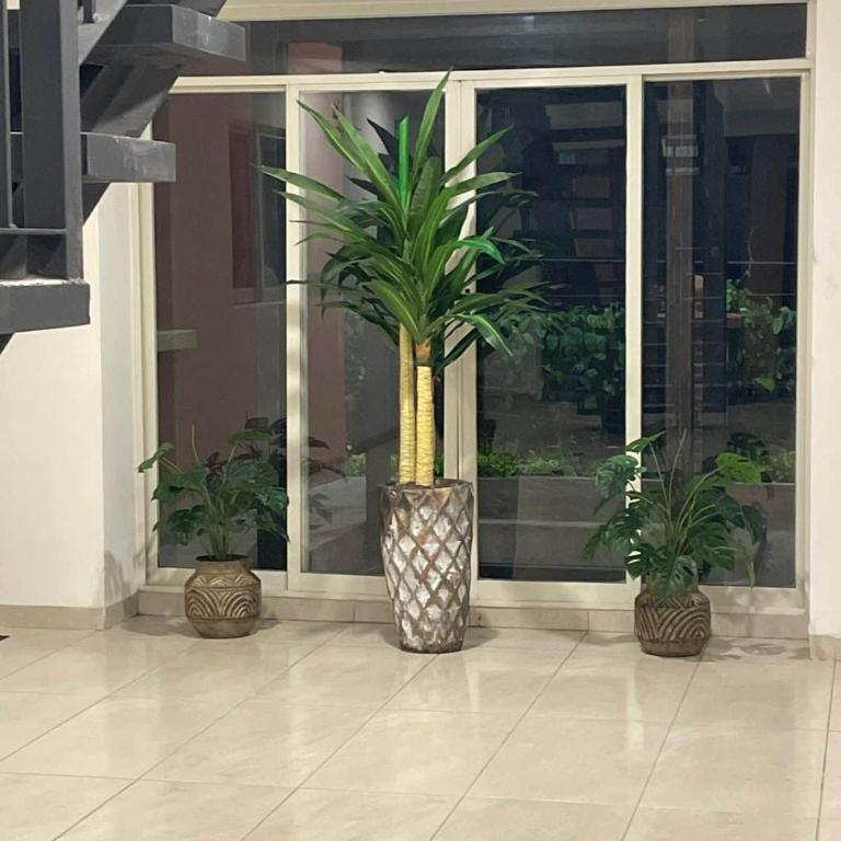San Miguel Allende Apto 24 - Apartamento de 2 dormitorios con balcón - 96