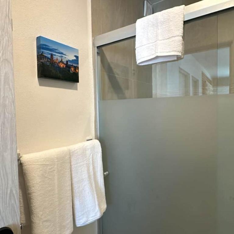 San Miguel Allende Apto 13 - Apartamento de 2 dormitorios con balcón - 21
