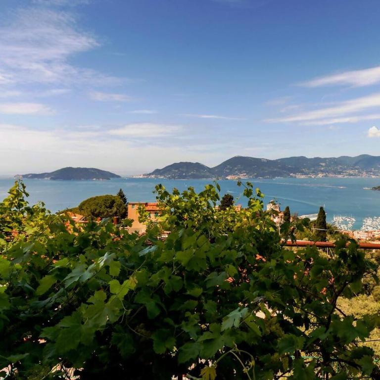 Lerici, La Serra - Il terrazzino di Luca - Appartamento con 1 Camera da Letto - 1