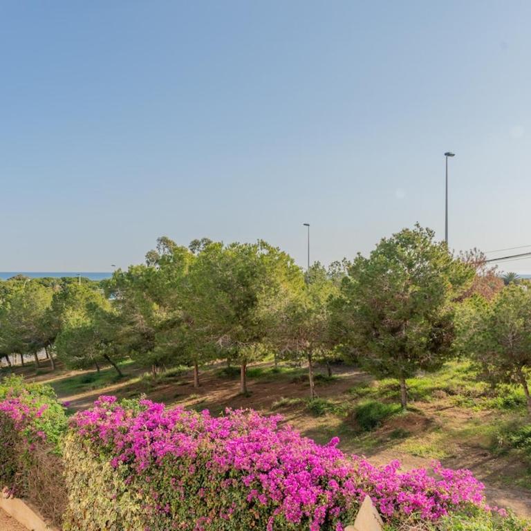 First line Gran Alacant First line Beach - Two-Bedroom Apartment - 28