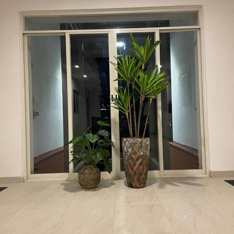 San Miguel Allende Apto 20 - Apartamento de 2 dormitorios con balcón - 63