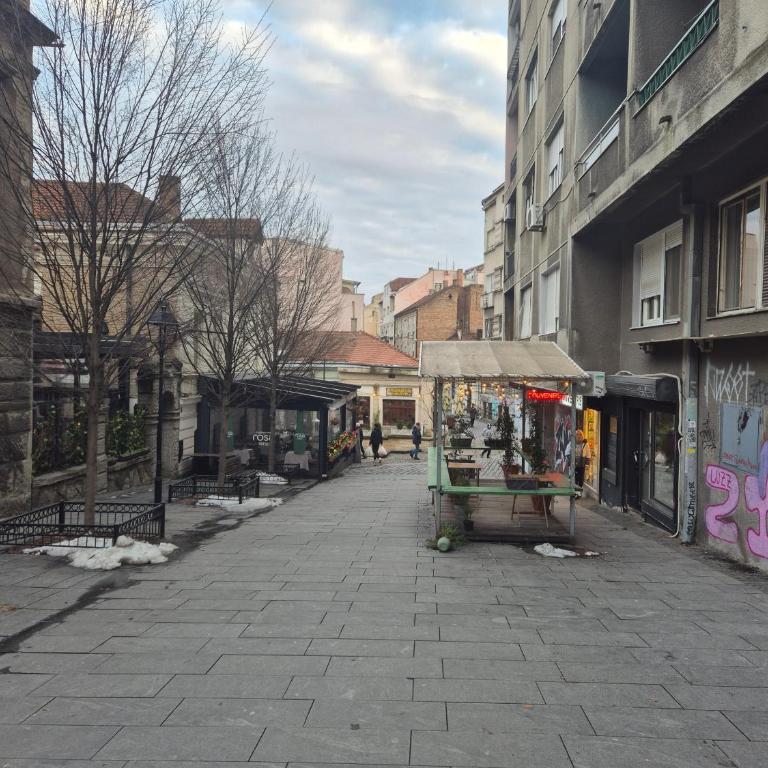 Bohemian Quarter Apartment -1 Min to Skadarlija - Walk Everywhere - Apartman - 7