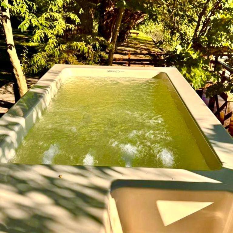 Eco Cabaña Río con Pileta privada - Casa - 23