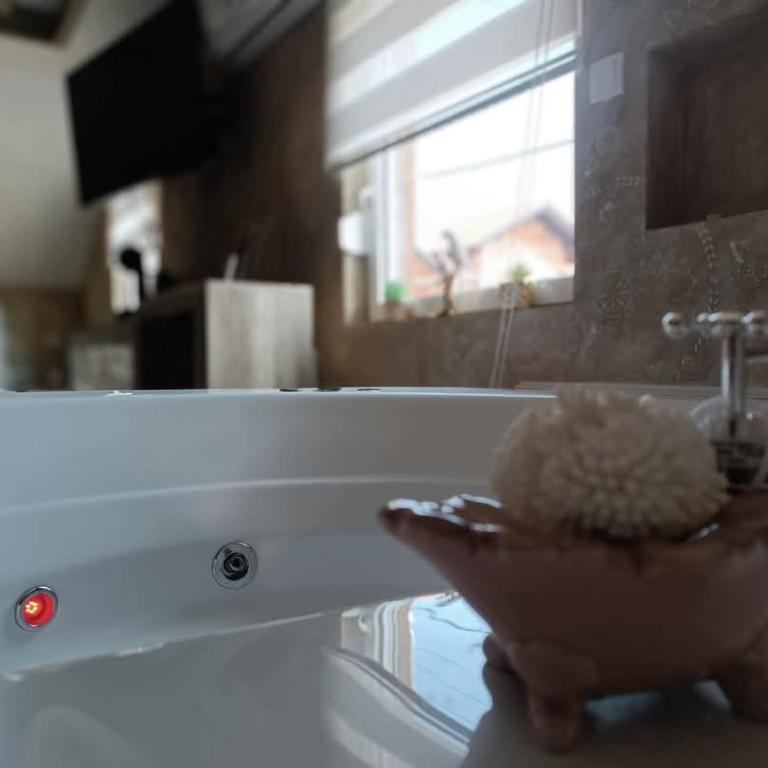 Jacuzzy Rooms Andjela - One-Bedroom Apartment - 7