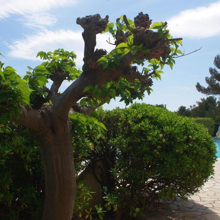 Villa with SEA VIEW, 1 km from the BEACH and CITY CENTER, BBQ, Tennis close by - Villa - 17