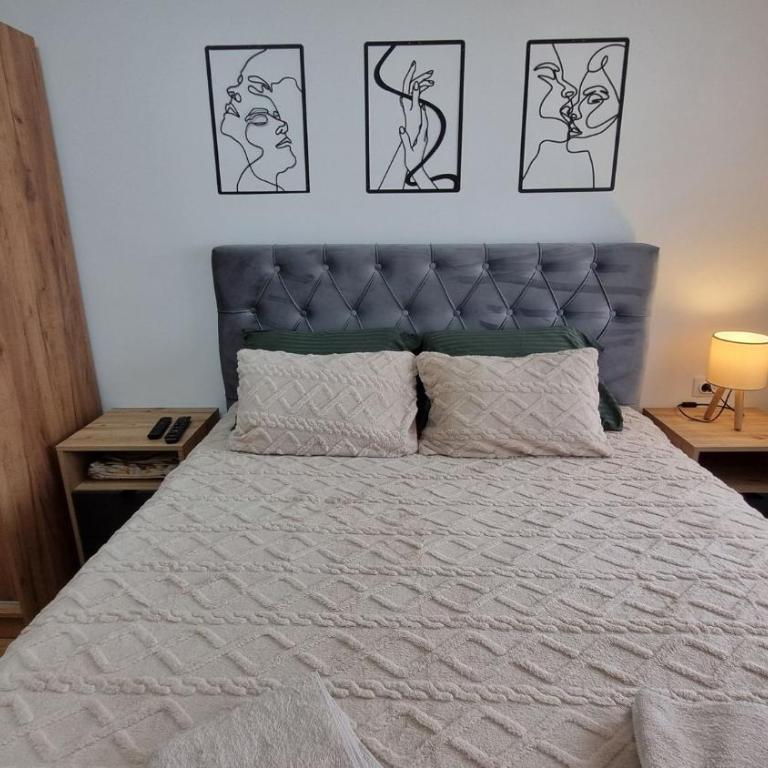 Apartman Dea Lux Novi Sad - Garage Parking -WiFi - Apartman - 17