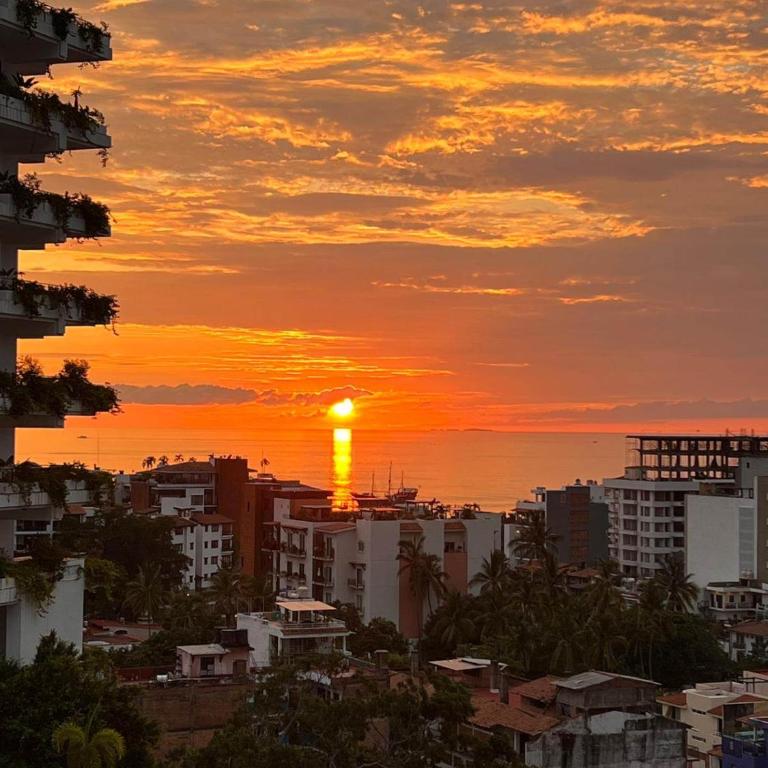 Stunning 2 BR Condo - Oceanview Terrace - Downtown - Casa - 47