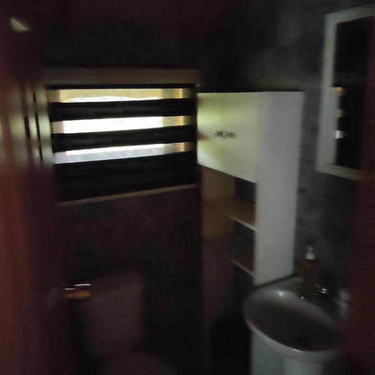 Cabañas mountain Native forest - One-Bedroom Apartment - 4