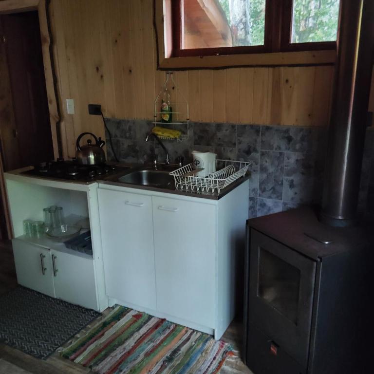 Cabañas mountain Native forest - One-Bedroom Apartment - 5