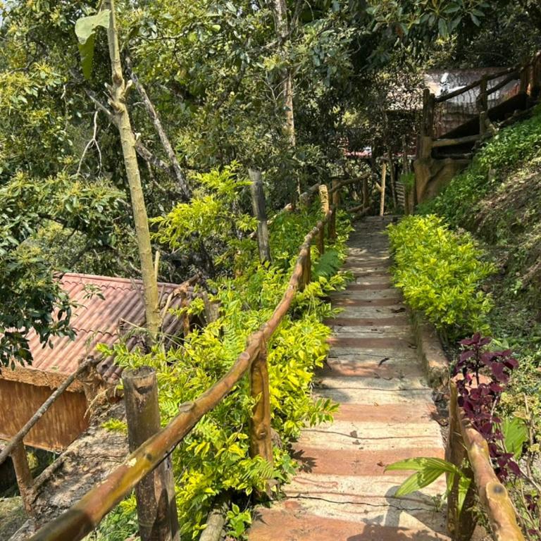 Hotel Golden Hills Manizales - Chalet de 1 dormitorio - 29