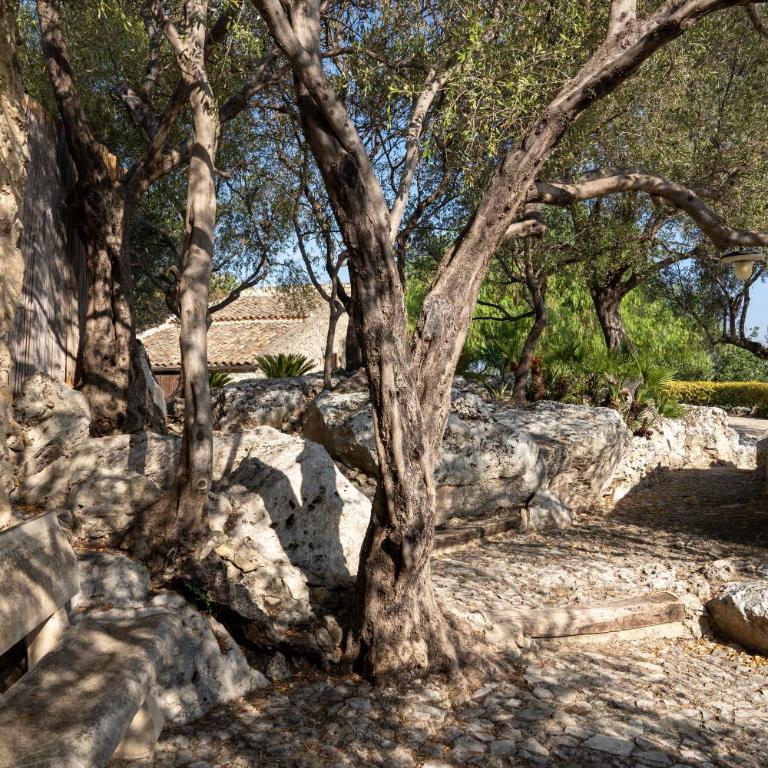 Villa Roba degli Ulivi - Villa - 3