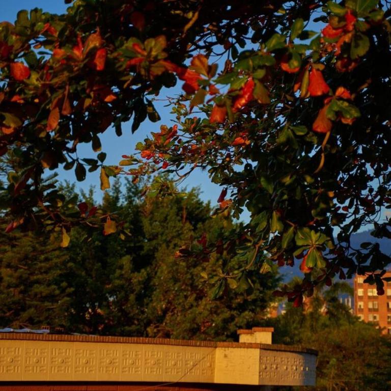 Casa en Laureles Estadio amplia y cómoda - Five-Bedroom House - 2