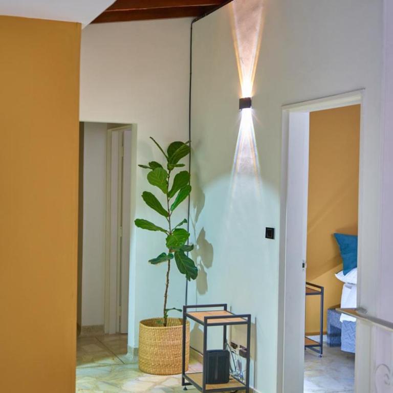 Casa en Laureles Estadio amplia y cómoda - Five-Bedroom House - 53