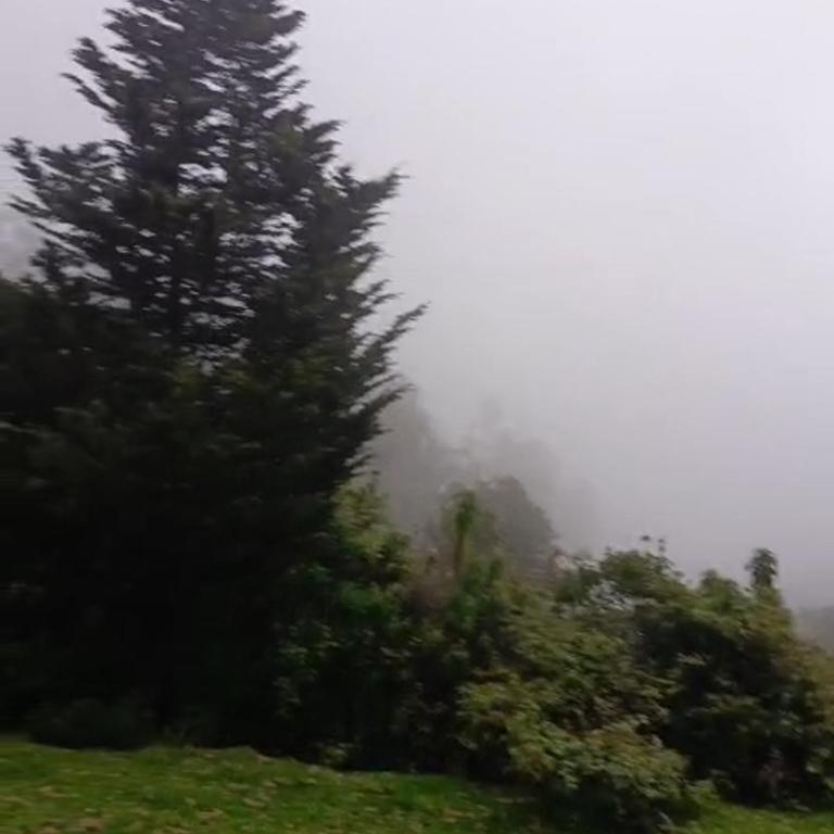 Casa de campo sendero al teleferico de Quito - One-Bedroom Apartment - 10