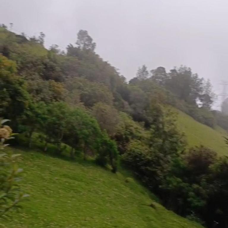 Casa de campo sendero al teleferico de Quito - One-Bedroom Apartment - 14