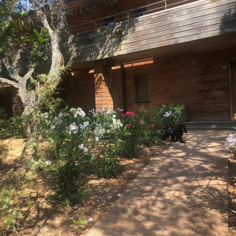 Santa Giulia, Résidence Cala Sultana Numero 40 - Appartamento con 2 Camere da Letto e Vista Giardino - 11