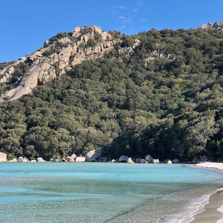 Santa Giulia, Résidence Cala Sultana Numero 40 - Appartamento con 2 Camere da Letto e Vista Giardino - 24
