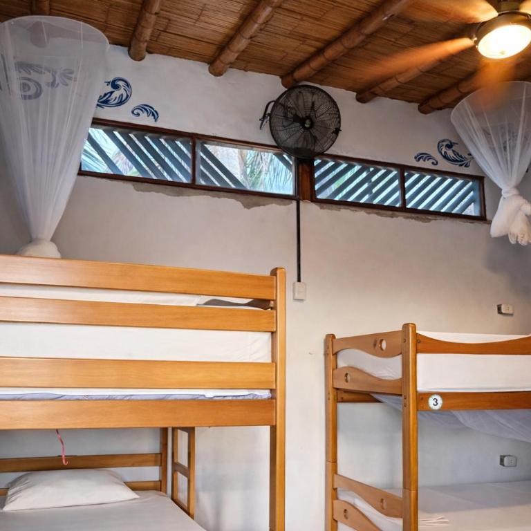 Wild Rover Beach Mancora - Cama en habitación compartida mixta con 6 camas y baño compartido - 3