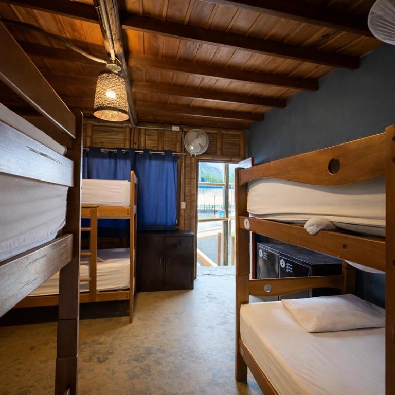 Wild Rover Beach Mancora - Cama en habitación compartida mixta de 8 camas con baño compartido - 1