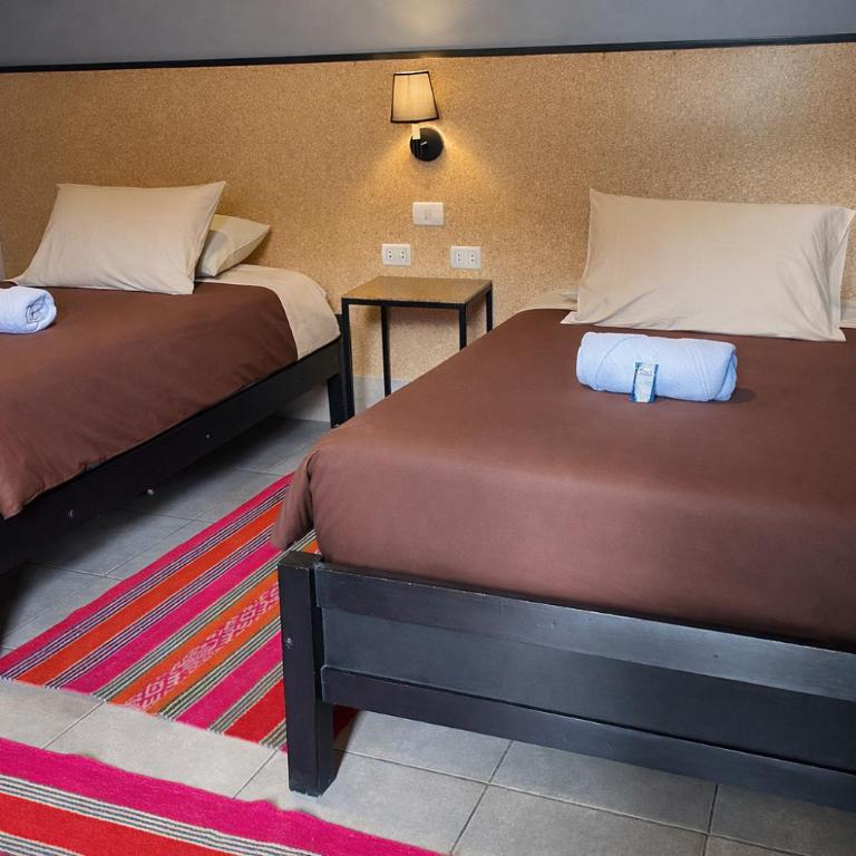 Wild Rover La Paz - Twin Room with Shared Bathroom - 2