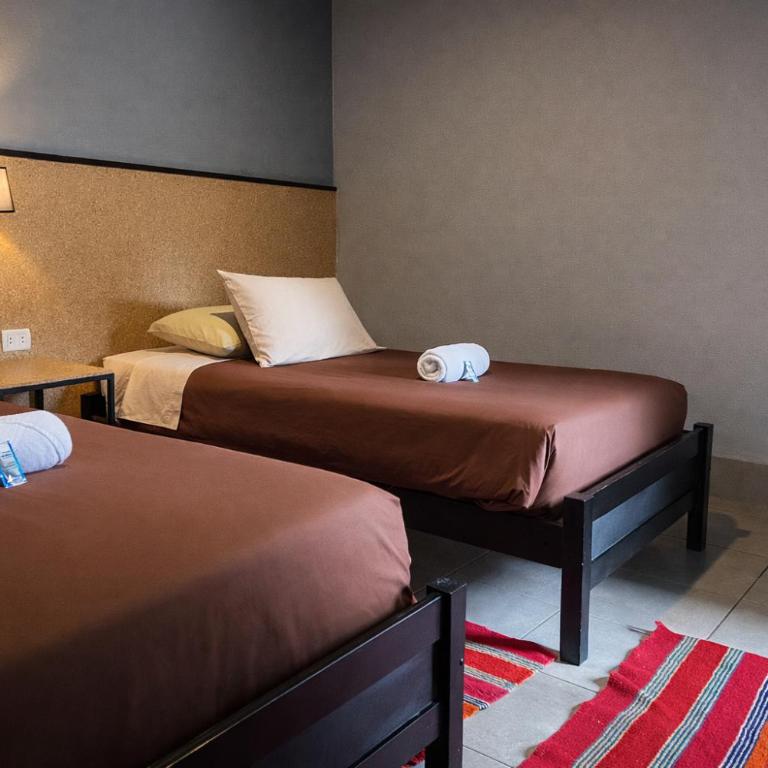 Wild Rover La Paz - Twin Room with Shared Bathroom - 3