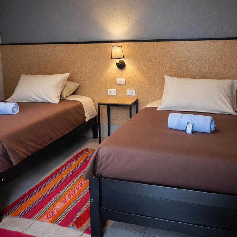 Wild Rover La Paz - Twin Room with Shared Bathroom - 4