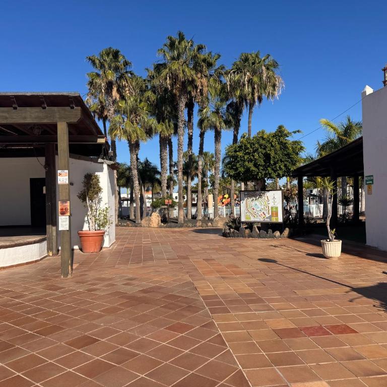 Oasis Jaylota - Apartamento de 1 dormitorio - 68