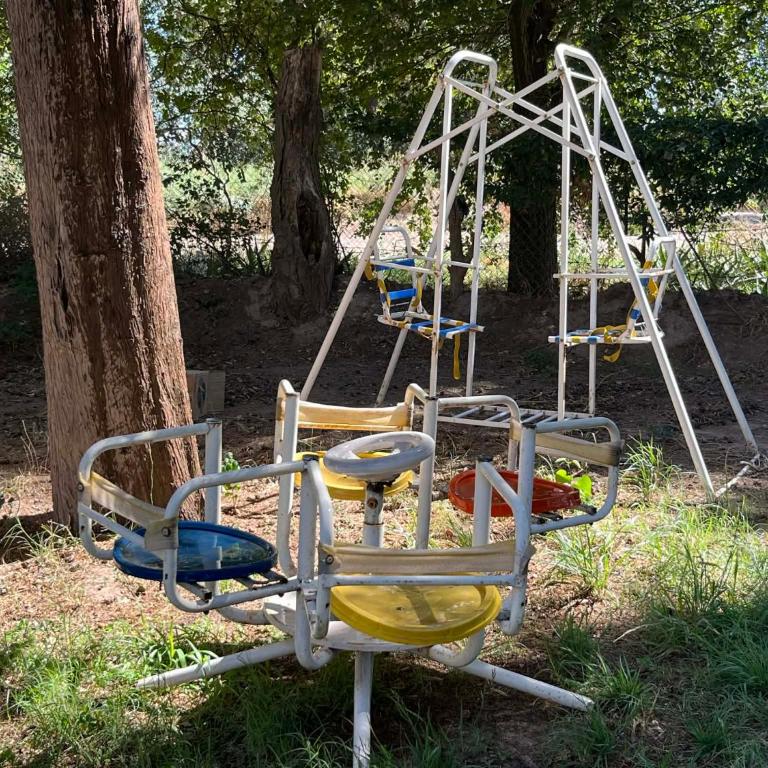 Olivospoint - Tienda - 7