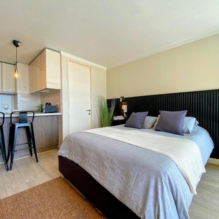 Moderno e Iluminado - One-Bedroom Apartment - 23
