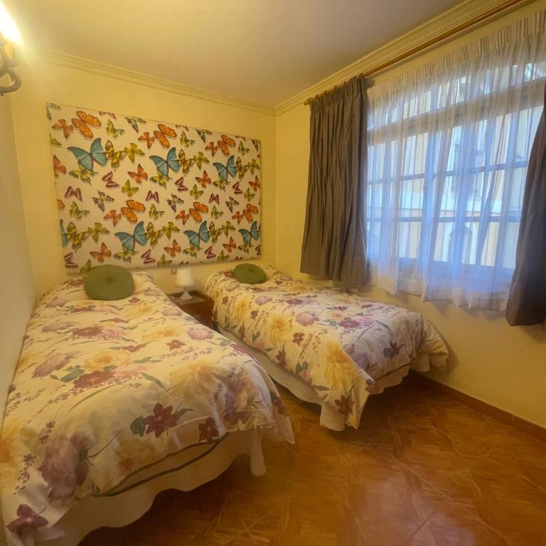 Sunny terrace Tenerife - Apartamento de 2 dormitorios - 9