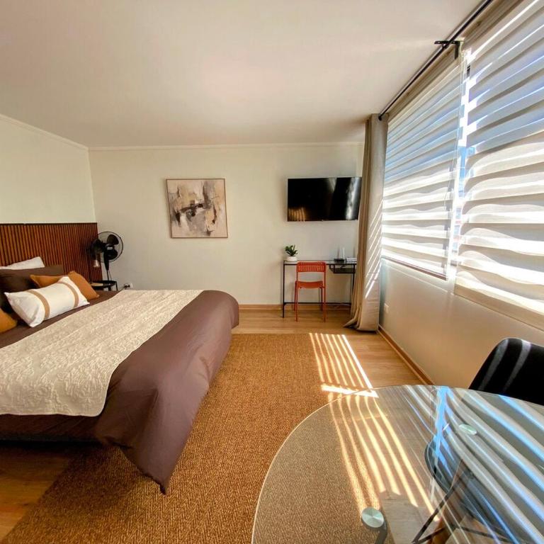 Costanera Loft - One-Bedroom Apartment - 11