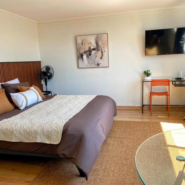 Costanera Loft - One-Bedroom Apartment - 20