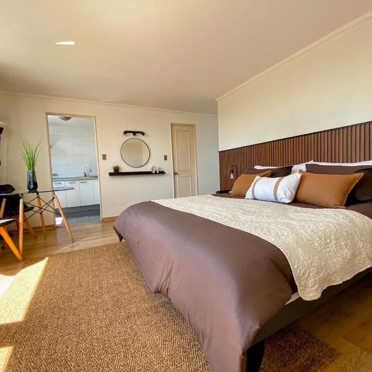 Costanera Loft - One-Bedroom Apartment - 22