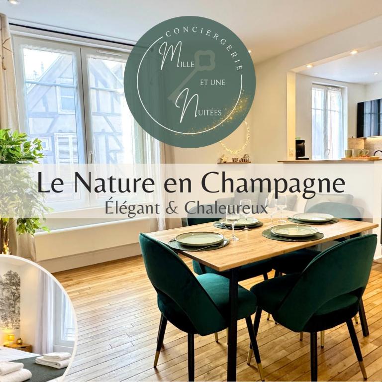 Nature en Champagne - Centre - WIFI -Machine à laver - Apartment mit 2 Schlafzimmern - 1