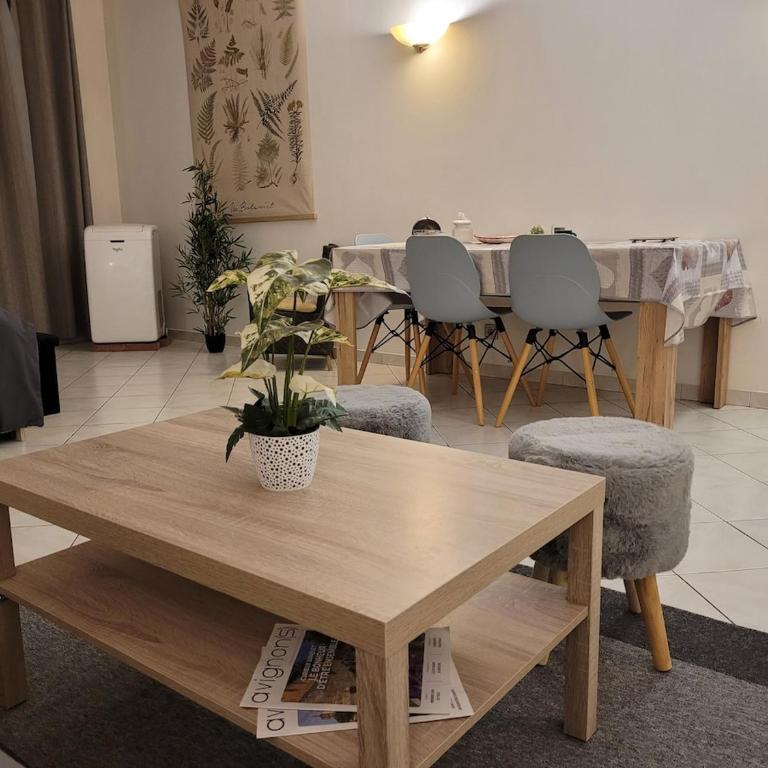 Le Festivalier, Cozy Studio - City Center - Studio mit Schlafsofa - 1
