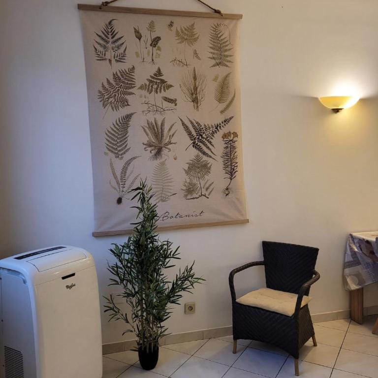 Le Festivalier, Cozy Studio - City Center - Studio mit Schlafsofa - 5
