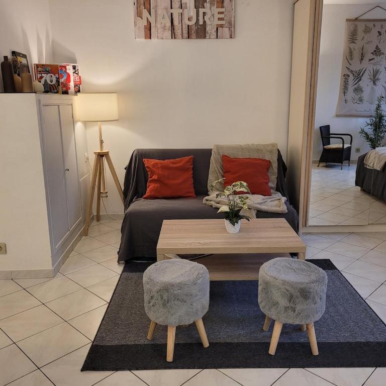 Le Festivalier, Cozy Studio - City Center - Studio mit Schlafsofa - 6