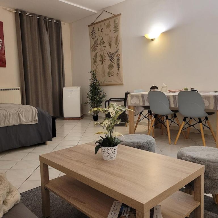 Le Festivalier, Cozy Studio - City Center - Studio mit Schlafsofa - 8