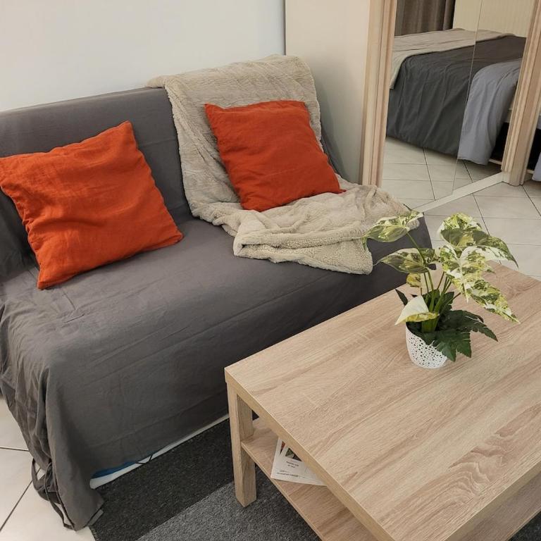 Le Festivalier, Cozy Studio - City Center - Studio mit Schlafsofa - 12