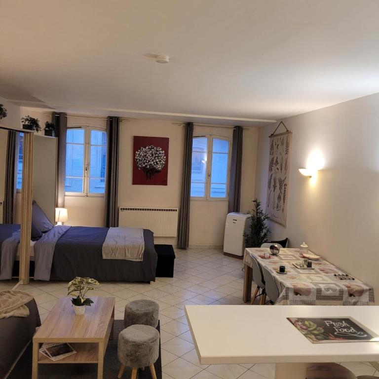 Le Festivalier, Cozy Studio - City Center - Studio mit Schlafsofa - 16
