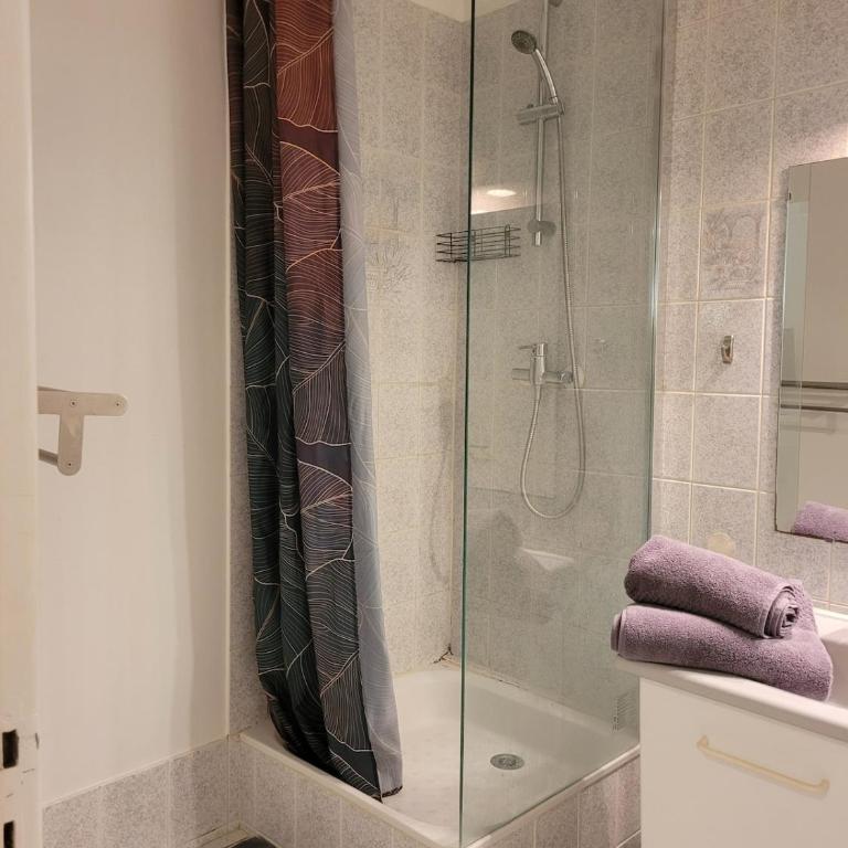 Le Festivalier, Cozy Studio - City Center - Studio mit Schlafsofa - 33