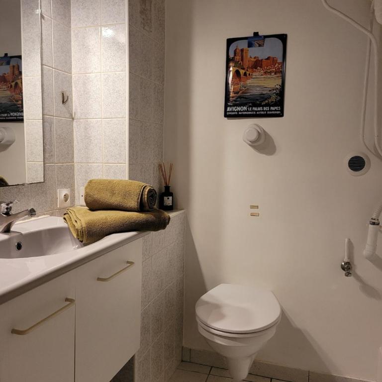 Le Festivalier, Cozy Studio - City Center - Studio mit Schlafsofa - 43