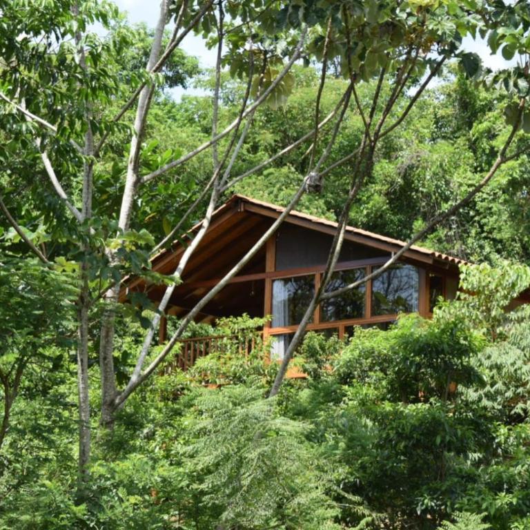 MAYU PATANPI Amazon Lodges - Deluxe Bungalow - 49