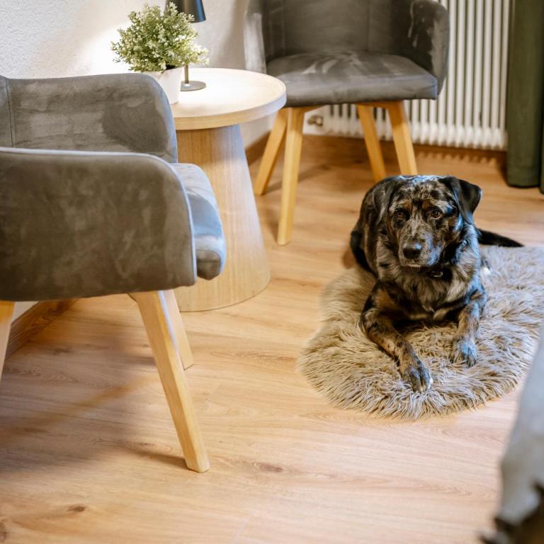 Haus Tisch - Apartamento de 3 dormitorios - 7