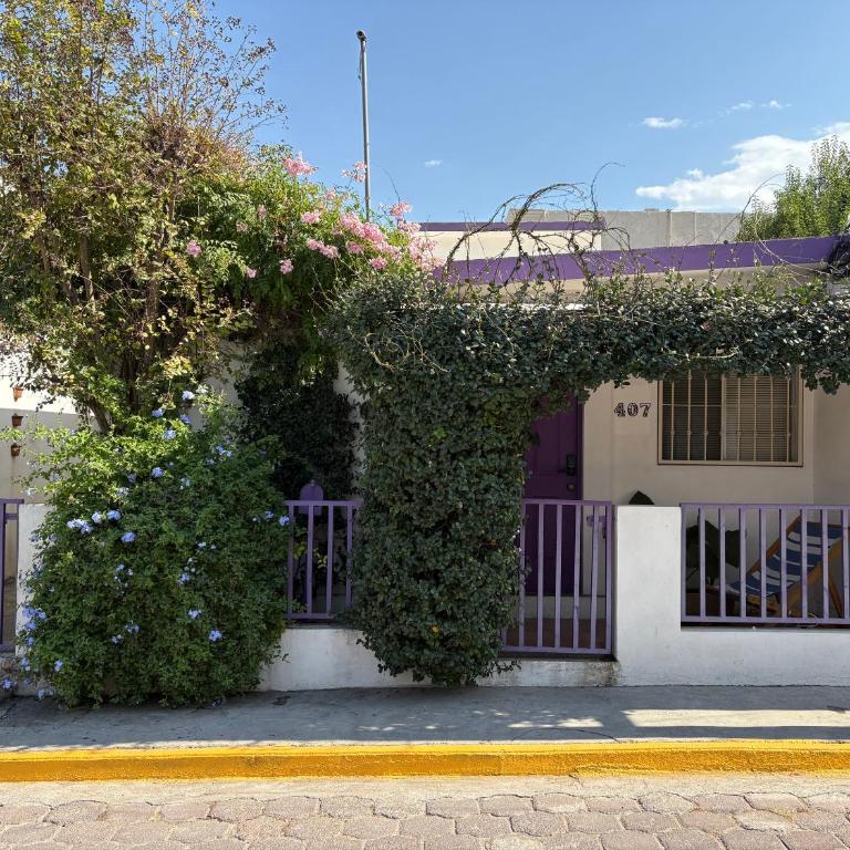 Fun House Tampiquito - Two-Bedroom Villa - 15