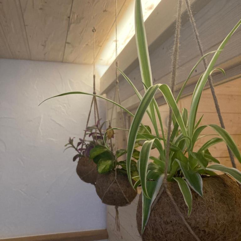 seitzDAHEIM - Apartment mit 2 Schlafzimmern - 35