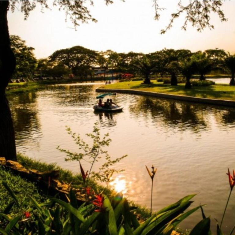 New suite -ground floor - central area- Low cost - Two-Bedroom Apartment - 39