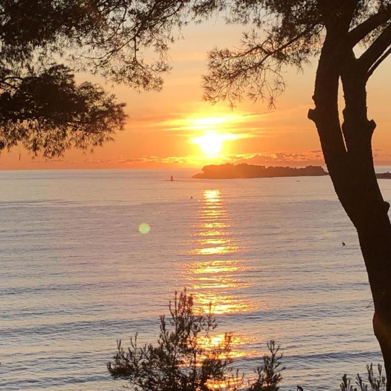 Villa with Private Pool & Boules Court - Maison de Vacances 2 Chambres - 34